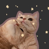 软软