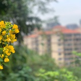 。