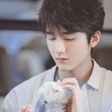 想养一只猫