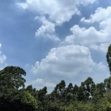 gu