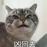 小月亮🌙