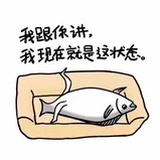呆呆鹅