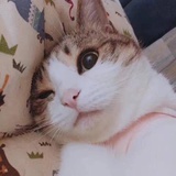 小雪