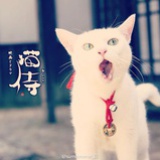 娃啦是小姑娘