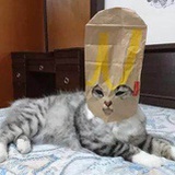 流火