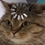 走到哪里是哪里