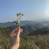 你开心就好