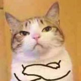 白面猴大王