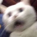 李生气