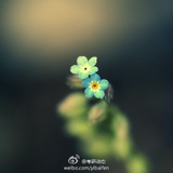 小桥流水