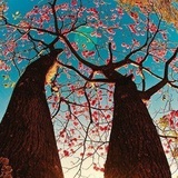 万水千山zou遍