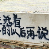 姜靳月
