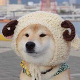 卡马人