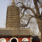 鱼梁