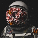 Astrolivia
