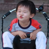 樵