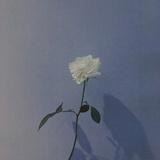Mintfleurxx