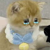 促狭鬼