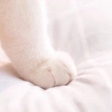 小丫么小小
