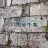 雪中兰