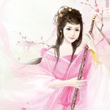 风舞落月