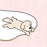 慢半拍。