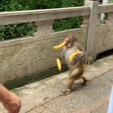 教育家卡尔威特