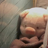 鱼逗