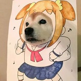 周大胆