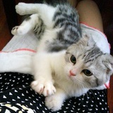 弦弦弦