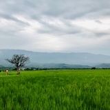 seki