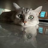 奇瓜瓜瓜瓜