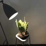 你要离开的时候