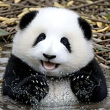 亮