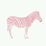 a pink zebra