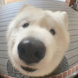芝士草莓奶盖
