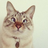 春风十里不如你