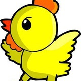 小黄鸡