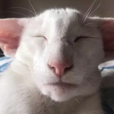 赵阳阳