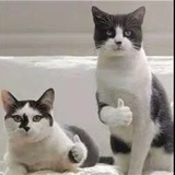 WR_WITH_STUPID