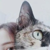 阿萌