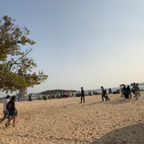 陀螺