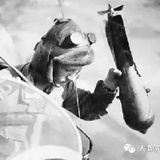 愤怒的拖鞋