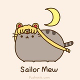 伪の喵星人