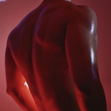 饼干味的饼干🍪