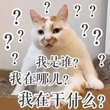 好像在哪见过