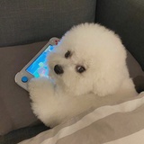 达西夫人