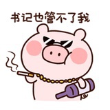 大炮圆滚滚