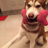 中二病患者