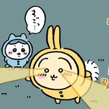 夏酒冬醉